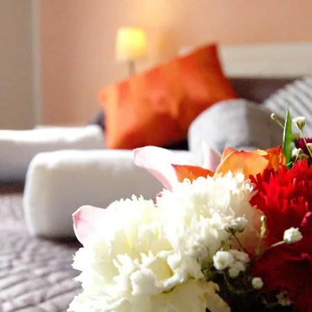 Bed & Breakfast Luiza Vatican House Řím